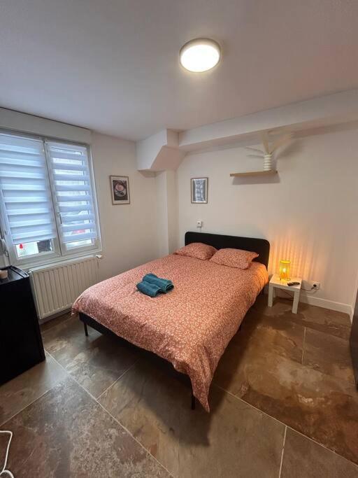 La Ptite Albi Home Nancy Exterior foto